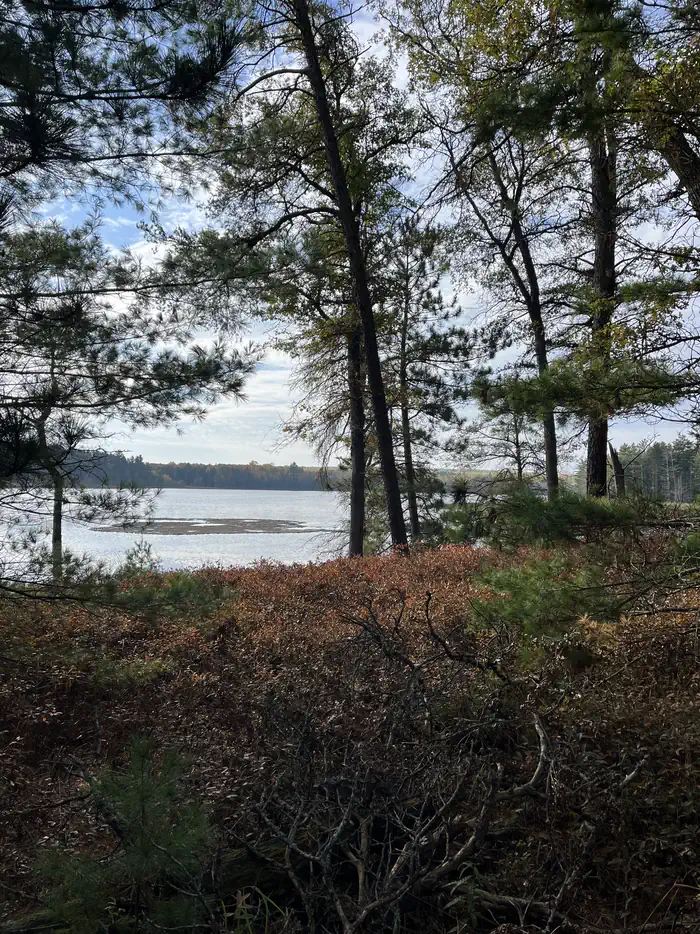 Wakeley Lake Campground — A photo of facility Wakeley Lake Campground with No Amenities Shown