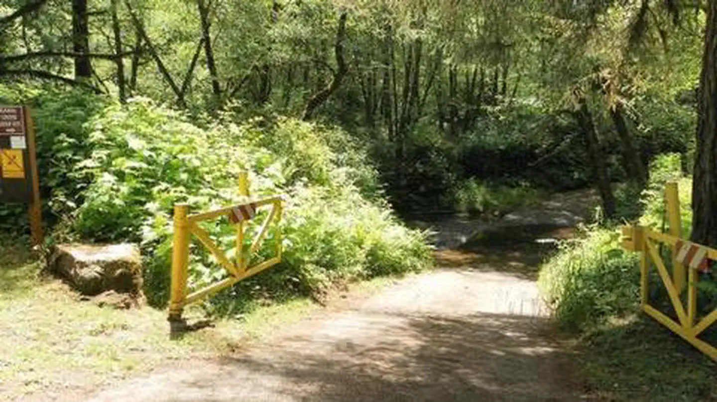CANAL CREEK β CANAL CREEK