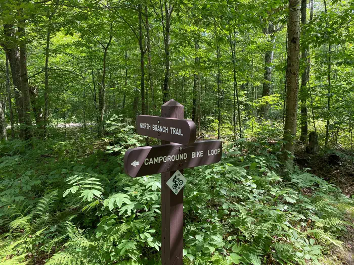 Moosalamoo Campground — Bike Trail Loop around campground