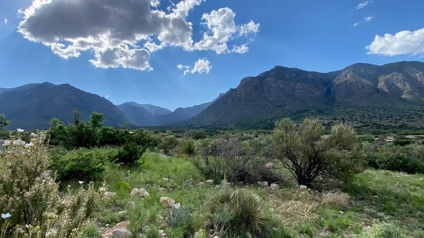 Pine Springs Campground - Guadalupe Mountains National Park