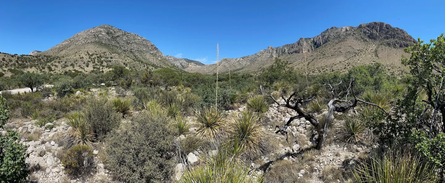Pine Springs Campground — A view from Pine Springs Campground with the Chihuahuan Desert vegetation and the rugged Guadalupe Mountains to enjoy.
