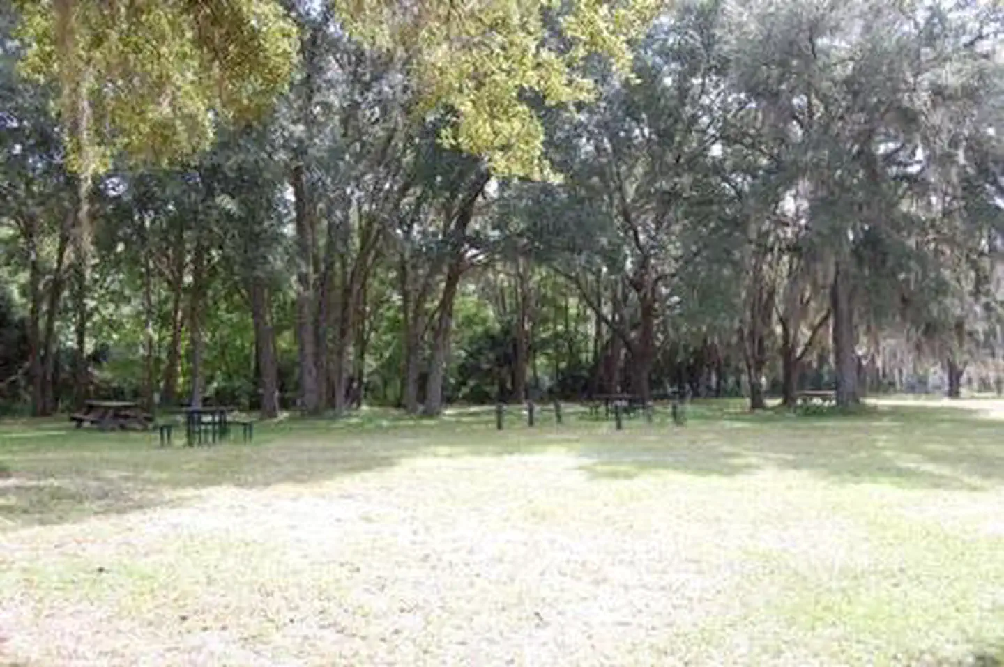 RIVER FOREST GROUP SITE — RIVER FOREST GROUP SITE