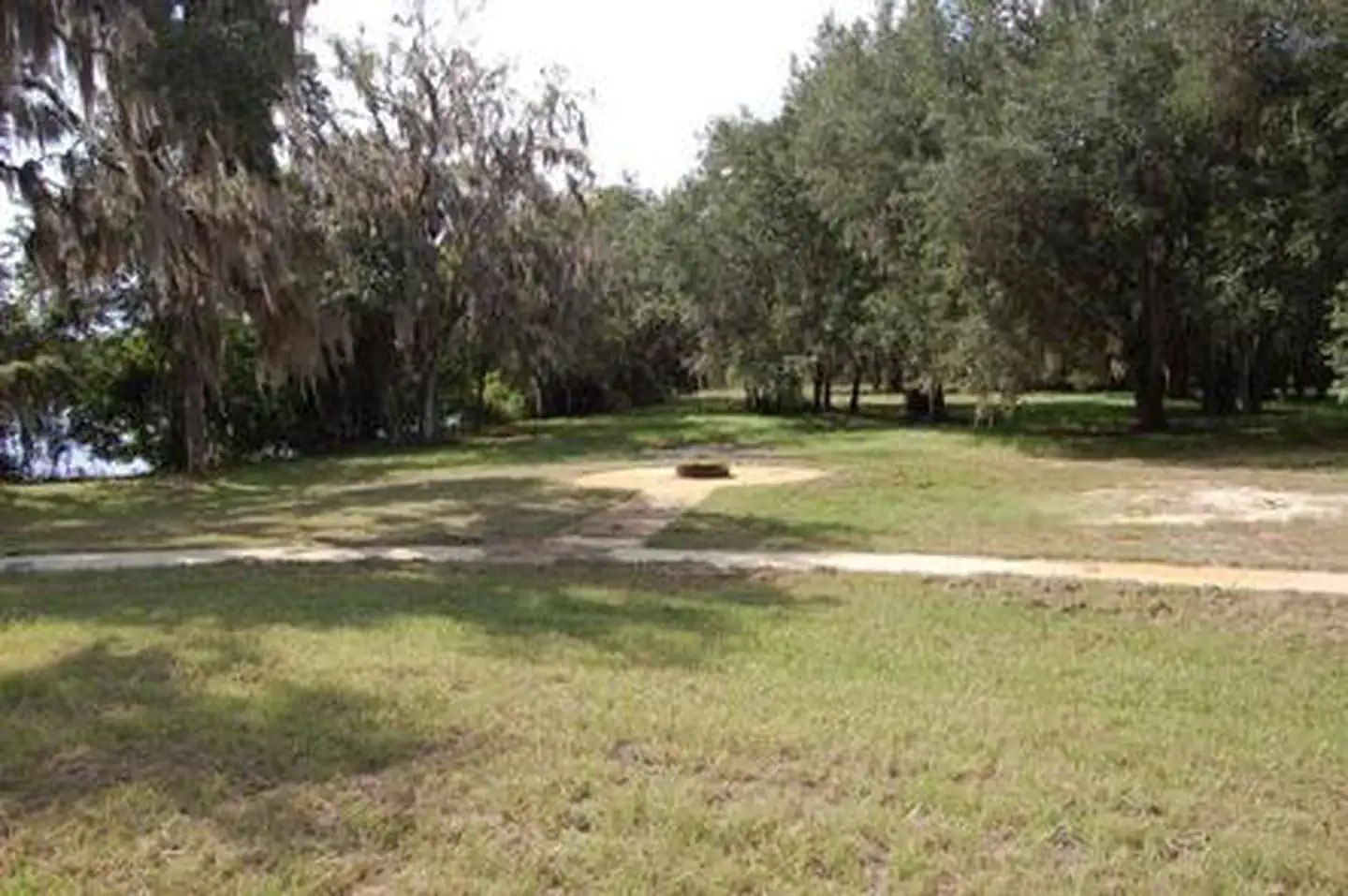 RIVER FOREST GROUP SITE — RIVER FOREST GROUP SITE
