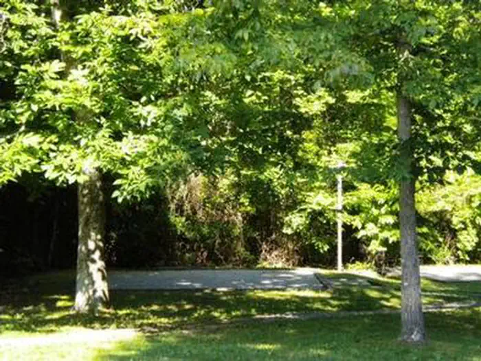 Craigs Creek Group Area — CRAIGS CREEK GROUP AREA