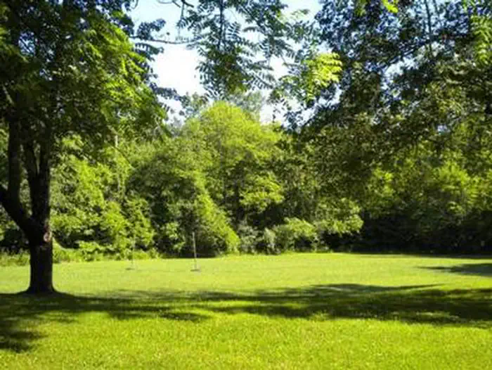 Craigs Creek Group Area — CRAIGS CREEK GROUP AREA