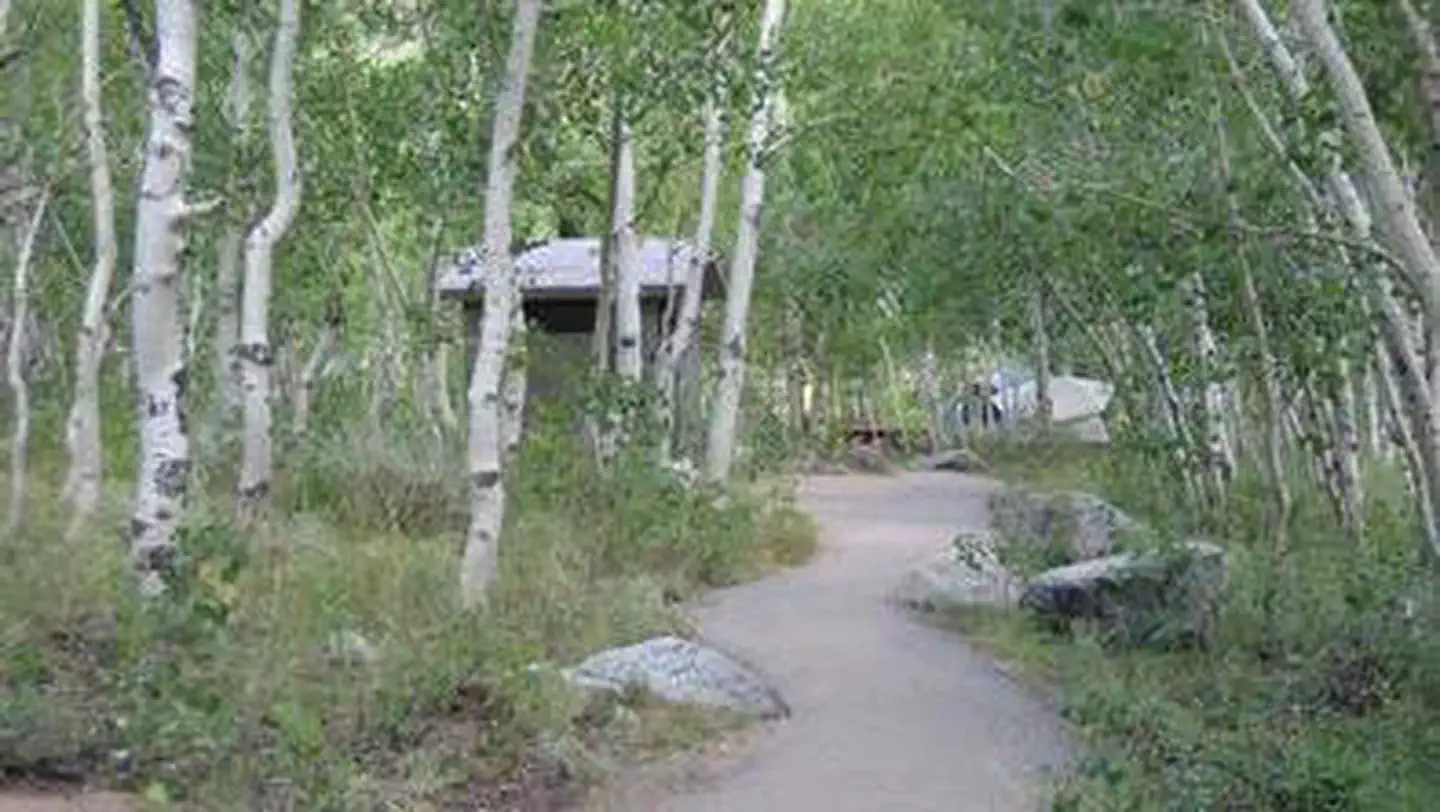 Inyo National Forest Table Mountain Group Campground