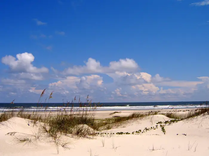 Cumberland Island National Seashore Camping Permits — undeveloped beach complete with sea oat covered dunes, light sands, blue sky, and crashing waves