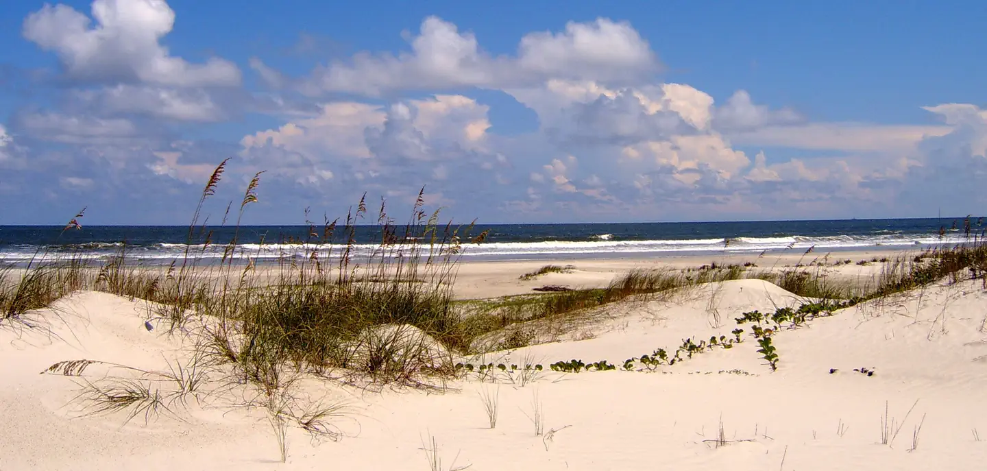 Cumberland Island National Seashore Camping Permits — undeveloped beach complete with sea oat covered dunes, light sands, blue sky, and crashing waves