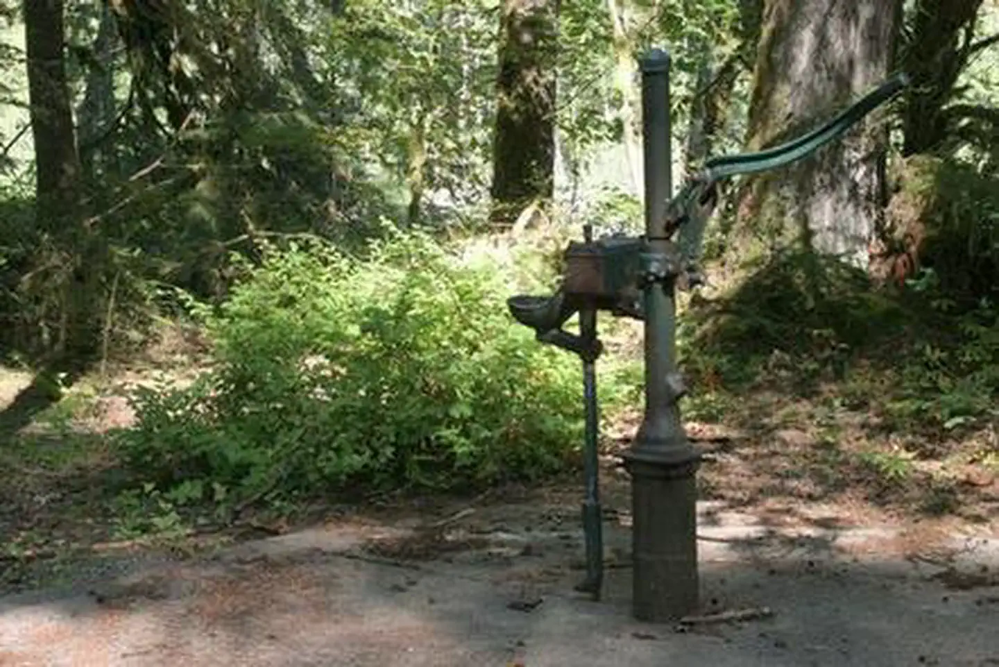 Miller River Group Camp — Miller River Group Camp