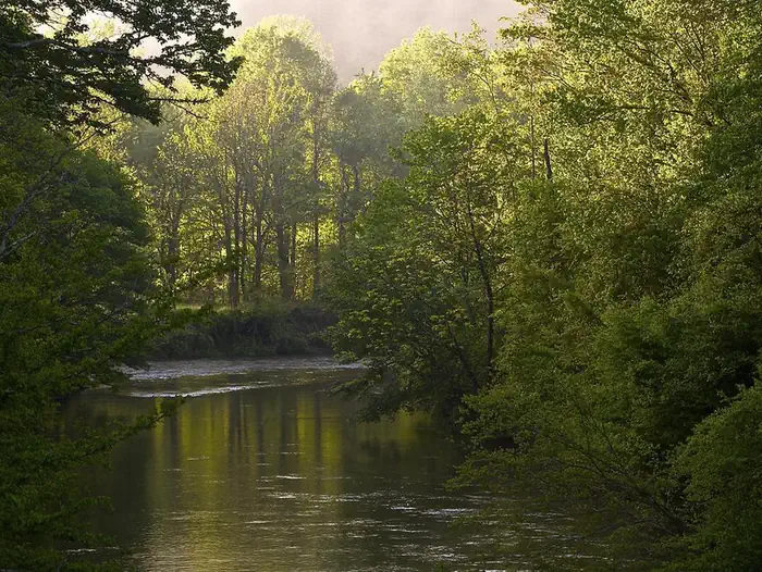 West Fork Campground (Clayton, GA) — West Fork of the Chattooga Wild and Scenic River