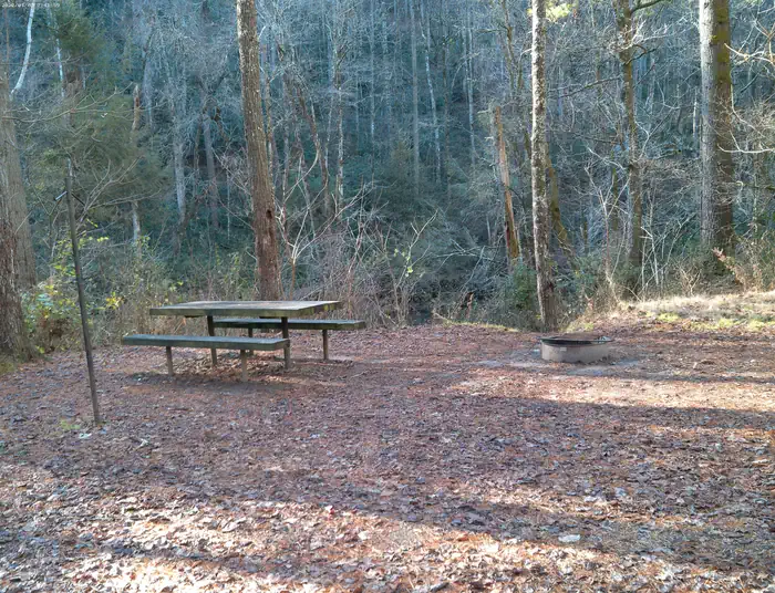 West Fork Campground (Clayton, GA) — Campsite #4