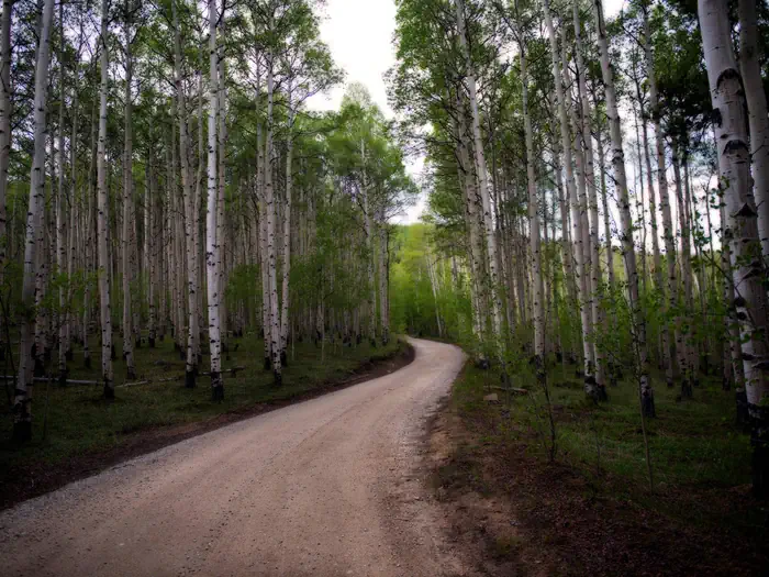 LONE ROCK CAMPGROUND (CO) — Pike and San Isabel National Forest
