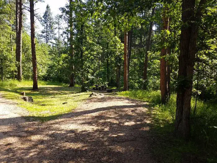 Grizzly Bear Campground — Picnic Table Area