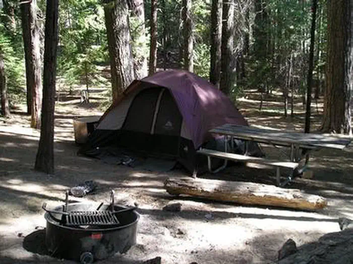 Hodgdon Meadow Campground — HODGDON MEADOW tent site