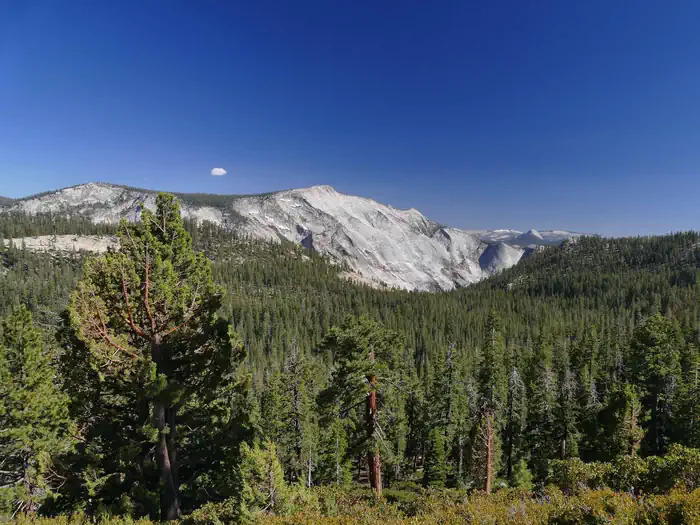 Hodgdon Meadow Campground — Tioga Pass, Yosemite National Park