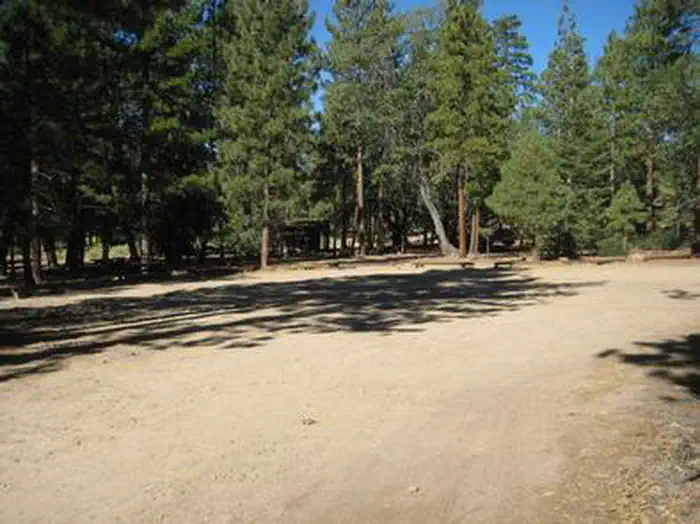 LOBO GROUP — Wide open area at the Lobo Group Campground