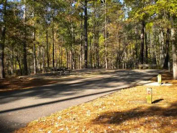 Beaver Dam Campground (Kisatchie National Forest, LA) — BEAVER DAM CAMPGROUND