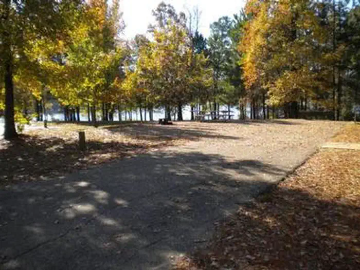 Beaver Dam Campground (Kisatchie National Forest, LA) — BEAVER DAM CAMPGROUND