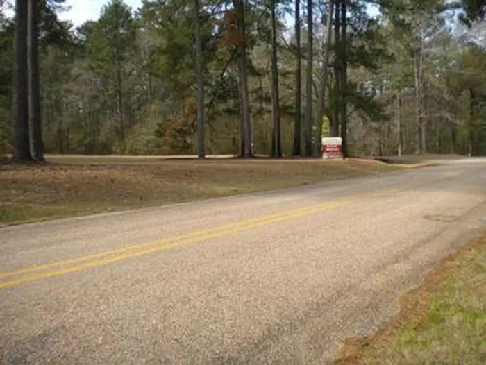 Beaver Dam Campground (Kisatchie National Forest, LA) — BEAVER DAM CAMPGROUND