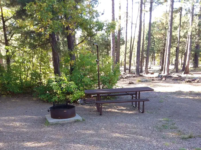 Rim Campground — Site 17
