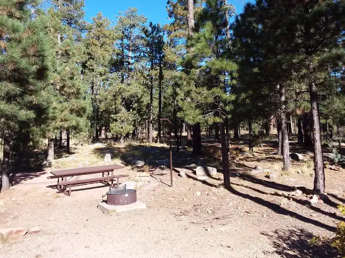 Rim Campground — Site 26