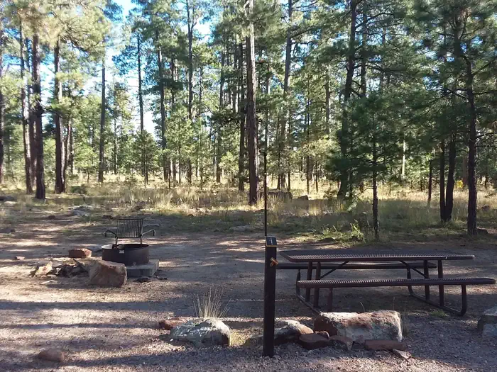 Rim Campground — Site 1