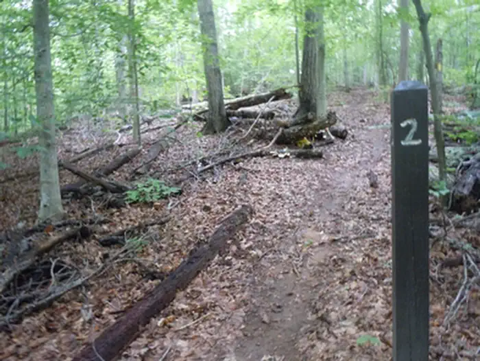 Chopawamsic Backcountry Camping Permits — Campsite #2 Marker
