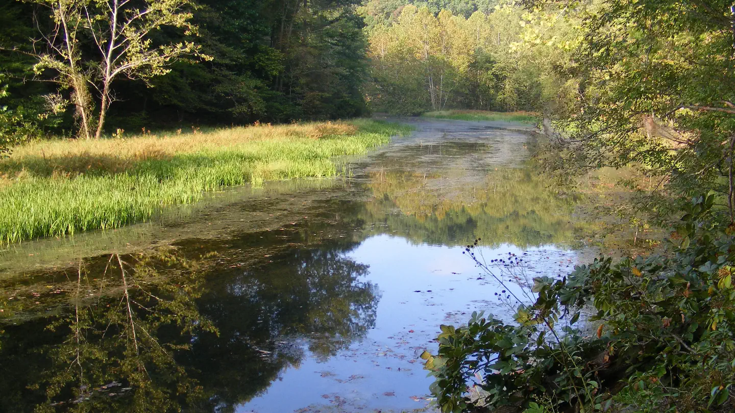 Chompawamsic Backcountry Area