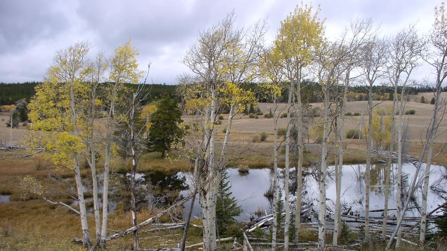 Doyle Campground