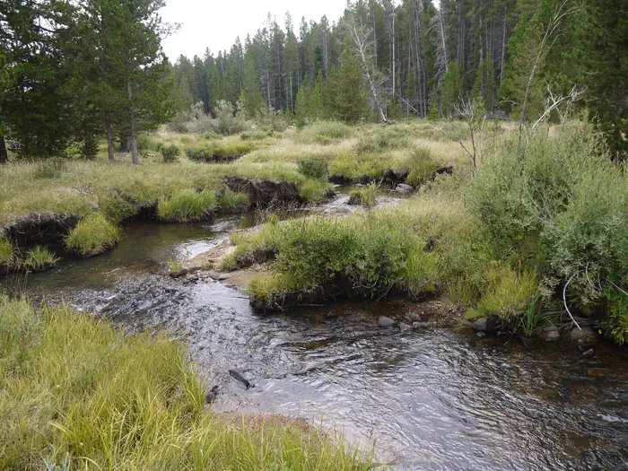 DOYLE CREEK CAMPGROUND — Creek near Doyle Creek Campground