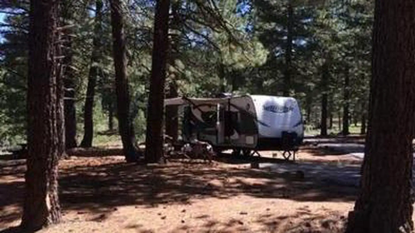 Plumas National Forest Grizzly Campground