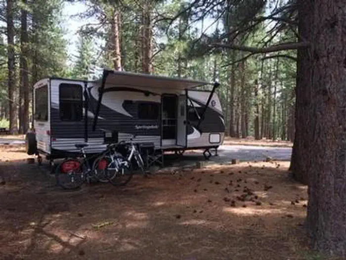 GRIZZLY — GRIZZLY Campsite