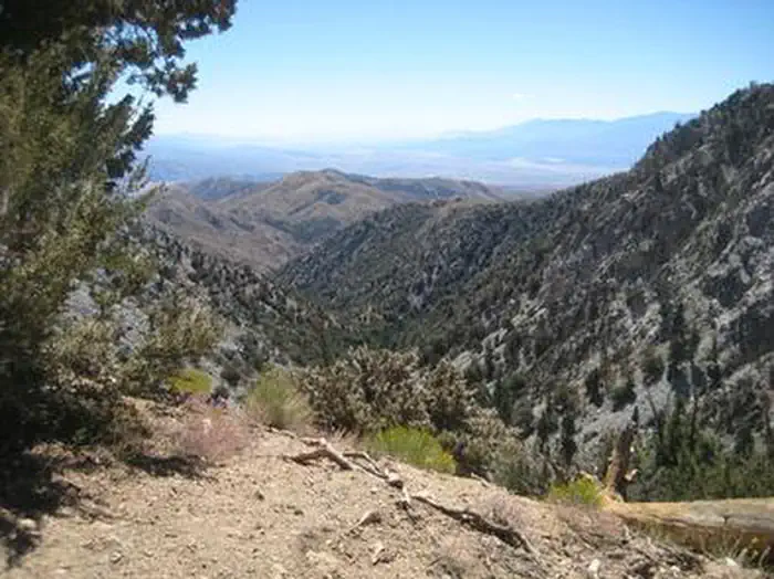 COON CREEK GROUP CAMPGROUND — View from Coon Creek Group Campground