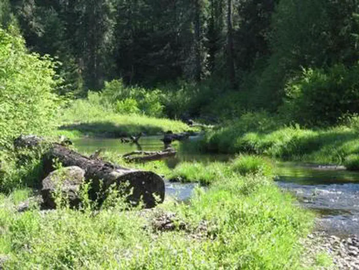 JIM CREEK GROUP CAMPGROUND — JIM CREEK GROUP CAMPGROUND