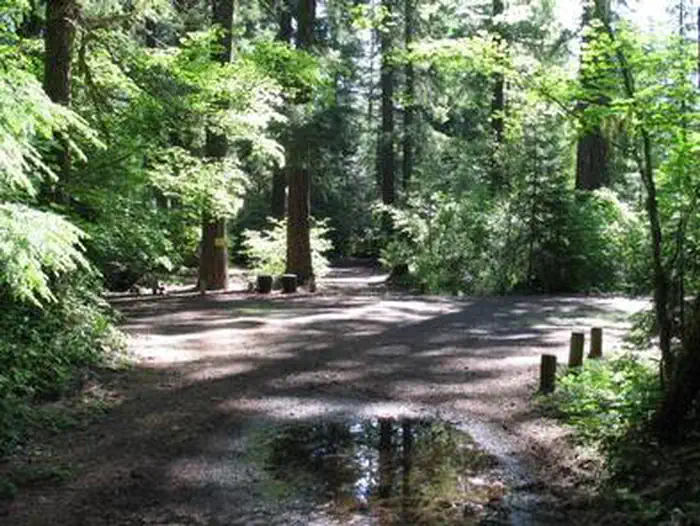 JIM CREEK GROUP CAMPGROUND — JIM CREEK GROUP CAMPGROUND