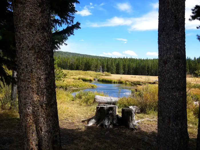 ISLAND PARK CAMPGROUND — View between two trees of a river.