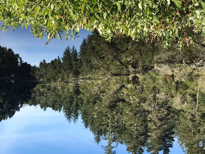 LAGOON CAMPGROUND — Conifer trees reflected on still lake under blue sky.