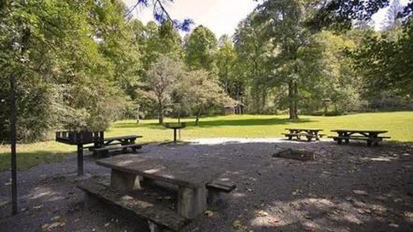 Pisgah National Forest Kuykendall Group Campground