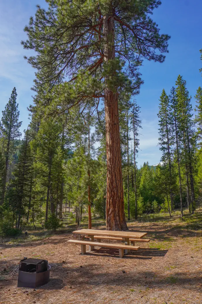 INDIAN TREES CAMPGROUND — INDIAN TREES CAMPGROUND  Campsite