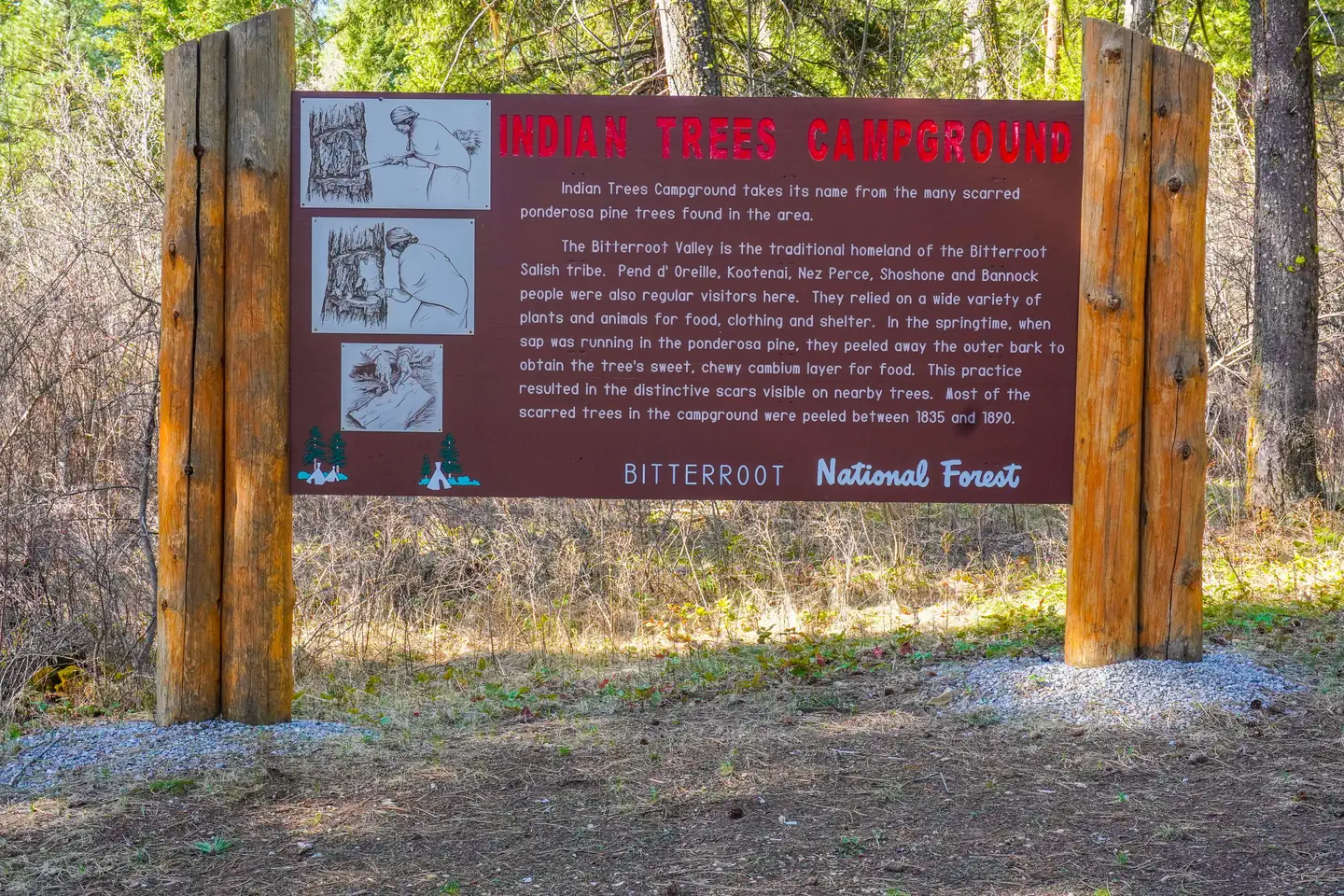INDIAN TREES CAMPGROUND — INDIAN TREES CAMPGROUND .