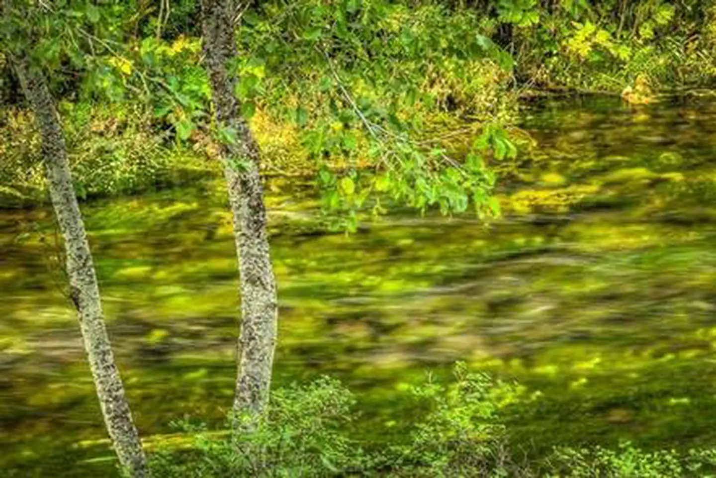 Riverside Campground (Deschutes National Forest, OR) — RIVERSIDE CAMPGROUND