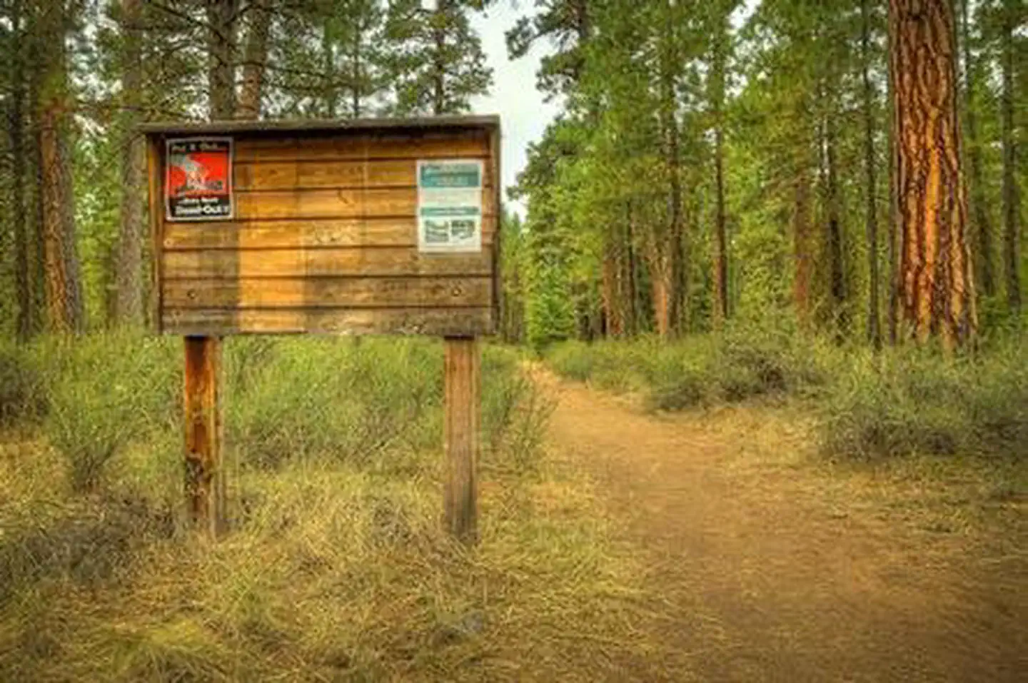 Riverside Campground (Deschutes National Forest, OR) — RIVERSIDE CAMPGROUND