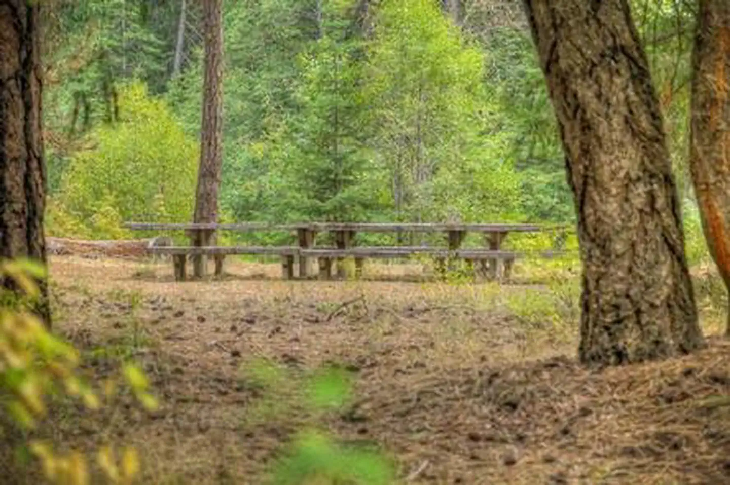 SAWMILL FLAT CAMPGROUND — SAWMILL FLAT CAMPGROUND