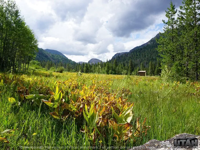 LEDGEFORK — LEDGEFORK CAMPGROUND