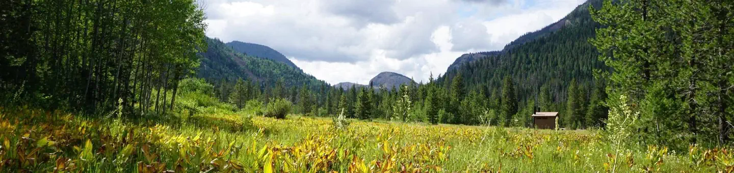 Ledgefork - Jordanelle State Park