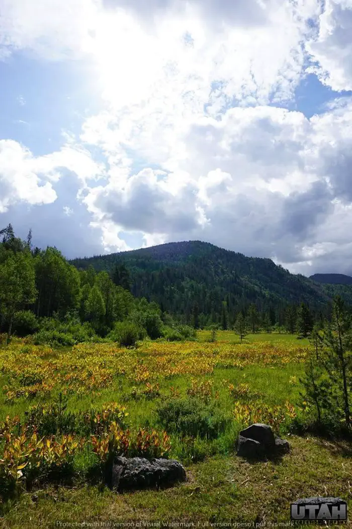 LEDGEFORK — LEDGEFORK CAMPGROUND 2