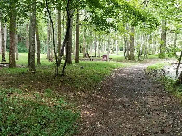 Rock Castle Gorge Backcountry Camping — Trail runs by primitive campsites.