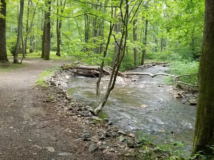 Rock Castle Gorge Backcountry Camping — Mountain stream flows near backcountry campground.