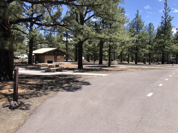 Bonito Campground (AZ) — Bonito Campground