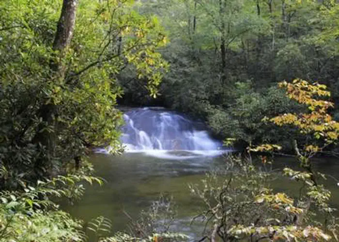 COVE CREEK LOWER GROUP CAMP — COVE CREEK LOWER GROUP CAMP